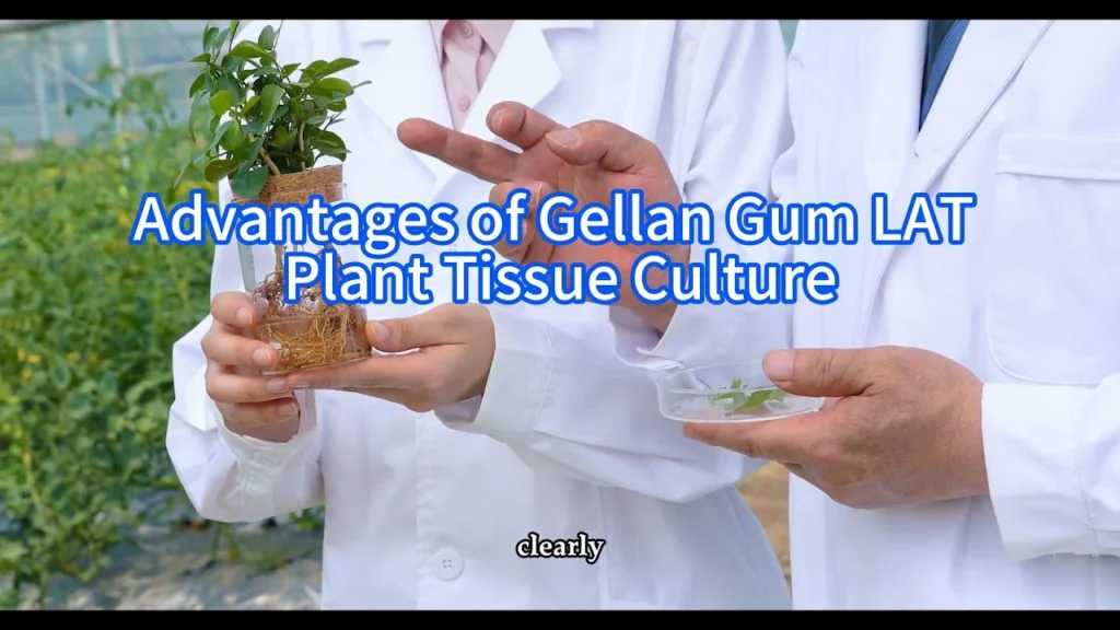 advantages of gellan gum lat pla